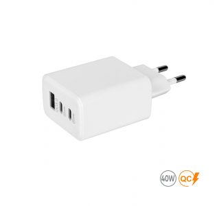 Мережевий зарядний пристрій 40W Real, TM TEG