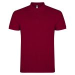 Поло Star 200, TM Roly