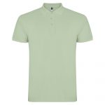 Поло Star 200, TM Roly