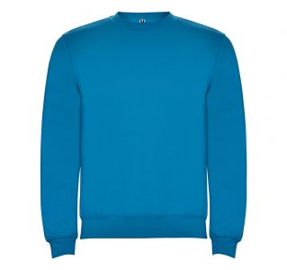 Реглан Clasica 280 ТМ Roly