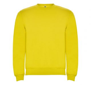 Реглан Clasica 280 ТМ Roly