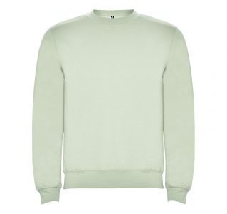 Реглан Clasica 280 ТМ Roly