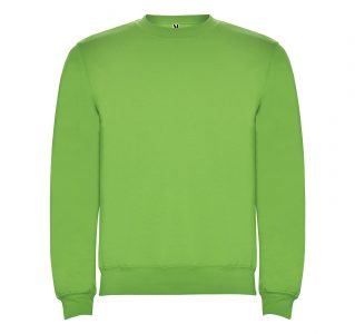 Реглан Clasica 280 ТМ Roly