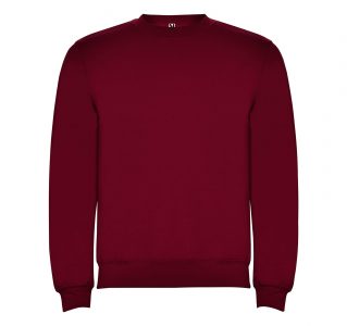 Реглан Clasica 280 ТМ Roly