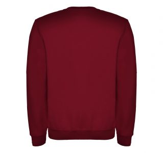 Реглан Clasica 280 ТМ Roly - Зображення 2