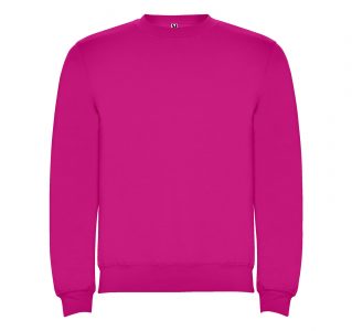 Реглан Clasica 280 ТМ Roly