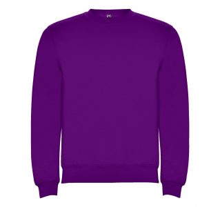 Реглан Clasica 280 ТМ Roly